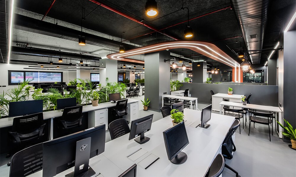 Office Design on Employee Wellbeing and Productivity