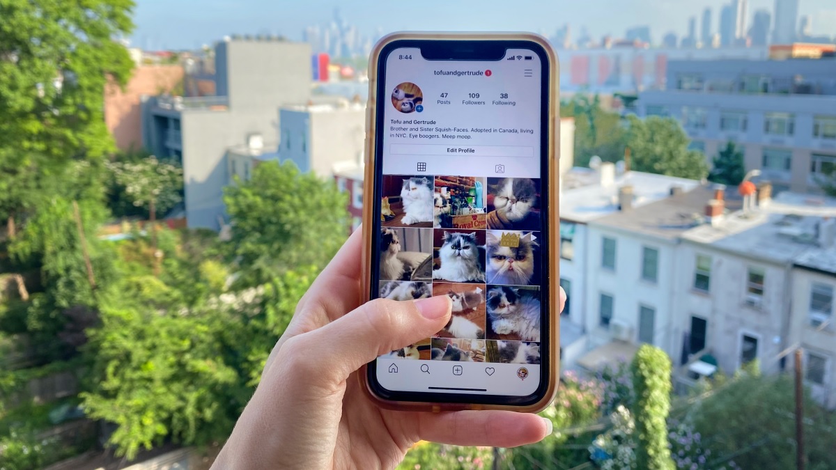 Instagram live - Connecting with your followers in real time