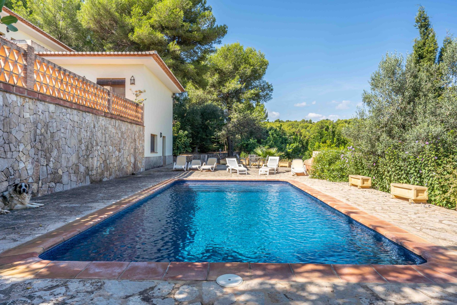 Beyond the Listings. How Local Property Specialists Unlock Hidden Opportunities in Javea
